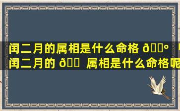 闰二月的属相是什么命格 🐺 「闰二月的 🐠 属相是什么命格呢」